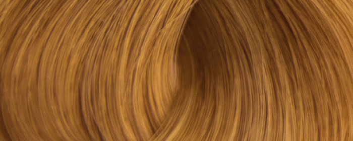 Color Erbe Barva na vlasy No. 06 Blond 8.0