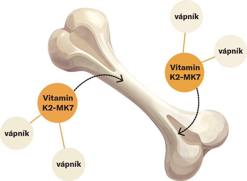 Vitamin D3 Aktivní synergie, kapky 25 ml - Ovonex