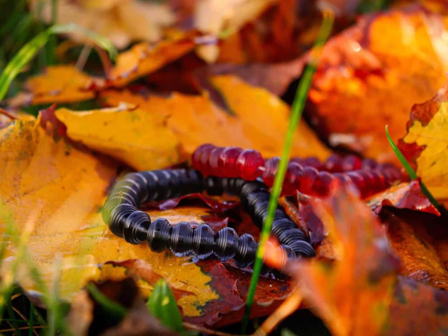 Somavedic náramek - červený